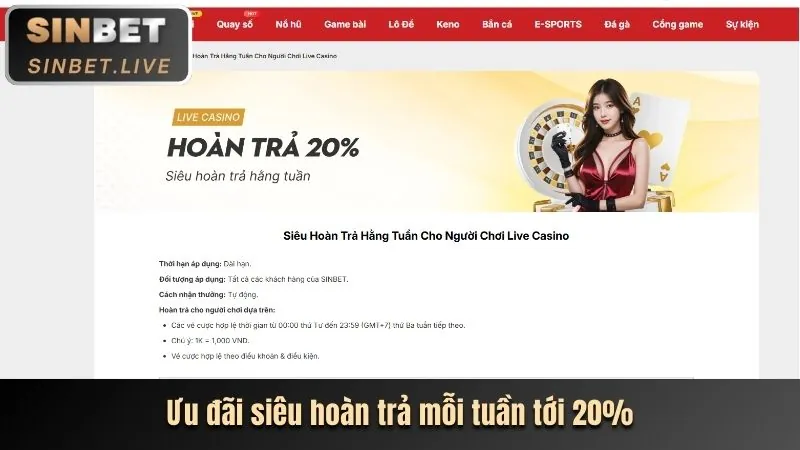 Chương trình VIP bsports